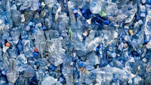 PET Bottle Plastic Waste_PET Bottle Plastic_2